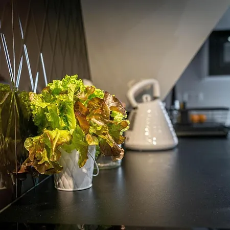 Apartment Stylovy I *